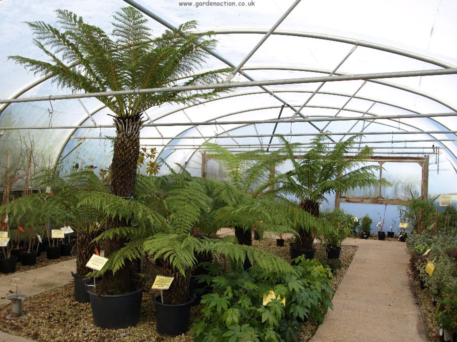 A review of the Staunton Garden Centre, Gloucestershire